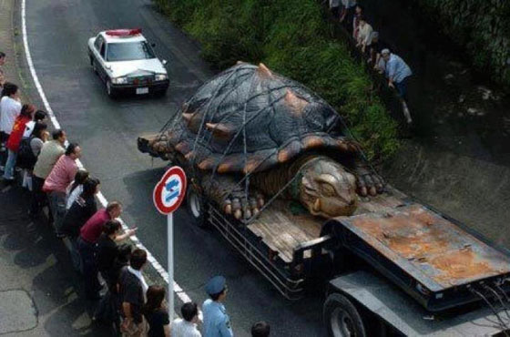 Tartaruga gigante teria sido encontrada na Bolívia! Verdade ou farsa? (foto: Reprodução/Facebook)