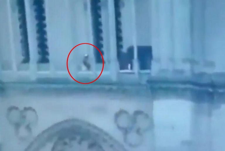 Um terrorista muçulmano foi flagrado na Catedral de Notre-Dame?