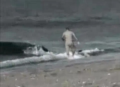 Homem é atacado por baleia!