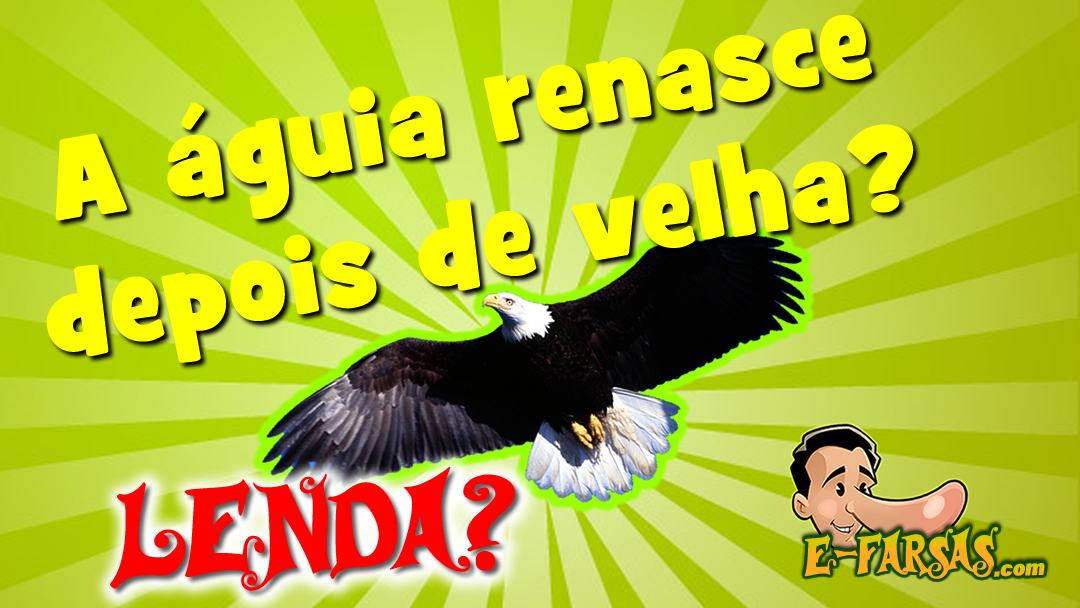 Vídeo: É verdade que a águia se renova depois de velha?