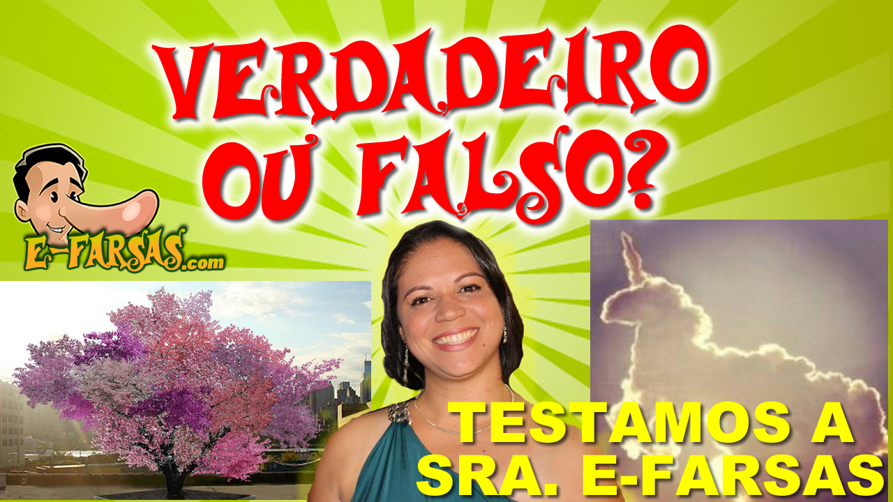 Verdadeiro ou Falso? Testamos a @SraEfarsas!