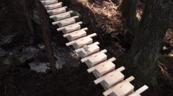 Bolinha toca xilofone de madeira na floresta! Será?